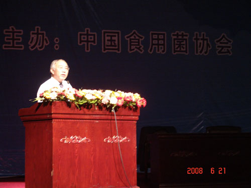 菲彩国际