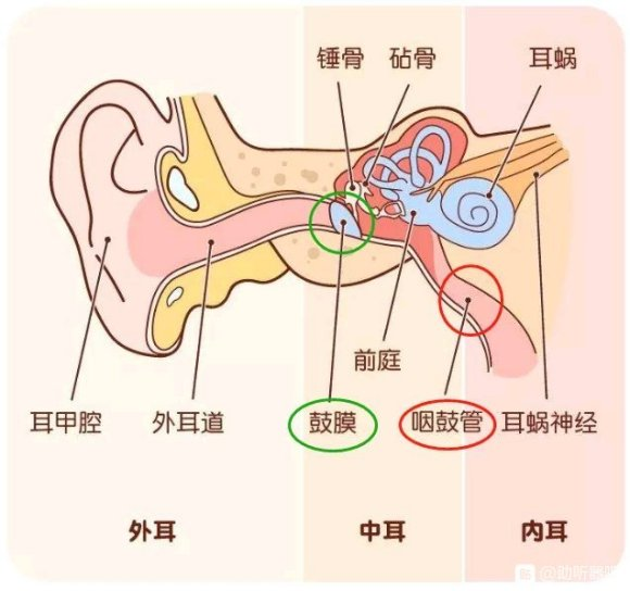 耳膜穿孔对听力影响有多少？